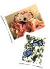 Quaderni di aemilia ars: animali - immagine 3