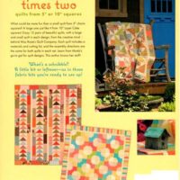 Schnibbles times two, quilts from 5" or 10" squares, carrie nelson
