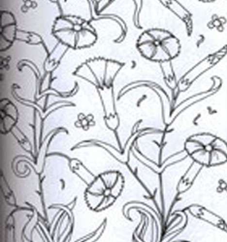 Florentine Embroidery, Barbar Muller