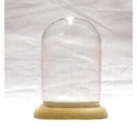 Campana in vetro altezza cm 12,3 con base in mdf cm 9