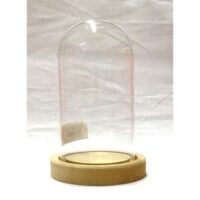 Campana in vetro altezza cm 17 con base in mdf cm 10,8