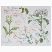 Dmc kit les duos de dmc fleurs & botanique n°2 : prunus et jasmin cm 45 x 36