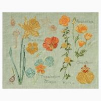 Dmc kit les duos de dmc fleurs & botanique n°2 : narcisse et capucine cm 45 x 36