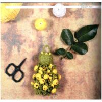 Esemplario: nappe nuove forme e intrecci, maria rita faleri