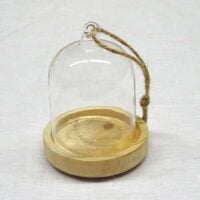 Cupola vetro trasparente con base in legno mm 80 x 60