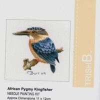 Uccello african pygmy kingfisher trish burr kit ago pittura