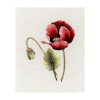 Papavero red poppy trish burr kit ago pittura