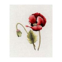 Papavero red poppy trish burr kit ago pittura