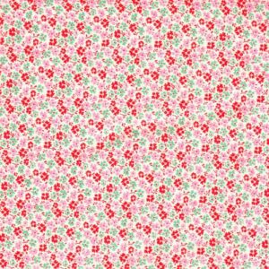 Smyrnastramin zweigart fori 13/10 cm 100% cotone h 100 cm  € 19,00 al metro vendita a multipli di 50 cm