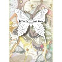 Butterfly and moth ulrike lohr voelcker