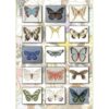 Butterfly and moth ulrike lohr voelcker - immagine 2