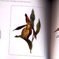Ra10a Finest Flowers in Embroidery – Trish Burr