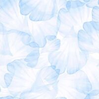 Aida 55/14ct dmc stampata 2023 pretagliati cm 38,1 x 45,7 colore petali azzurri