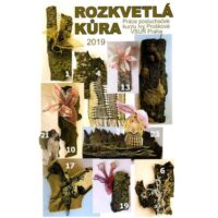 Rozkvetla kura iva proskova