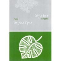 Idrija lace: spiders
