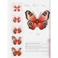 The kew book of nature samplers con decalcabili, trish burr