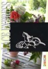 Lace express 1-2-3-4/2005 - immagine 4