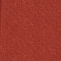 "kansas trouble favorites" for moda, autunno vendita a multipli di 50 cm