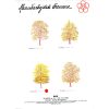 gerda bengtsson BOG/FAGGIO cm 21 x 30  kit ricamo 30-6028 - immagine 2