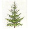gerda bengtsson Blagran/abetebianco cm 21 x 30  kit ricamo 30-6026