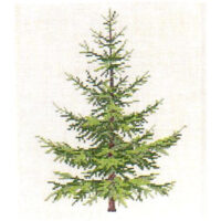 gerda bengtsson Blagran/abetebianco cm 21 x 30  kit ricamo 30-6026