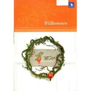 Lace express 3° 2005 natale