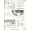Decalcabile 22 punto croce - immagine 2