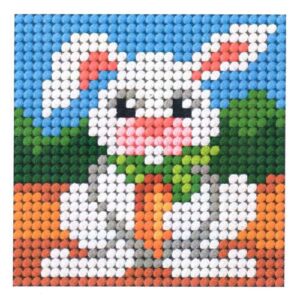 Kit mezzopunto kid's!  dmc "i delfini" livello facile 8 anni