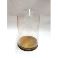 Campana in vetro alta cm 27 con base in legno diametro cm 14