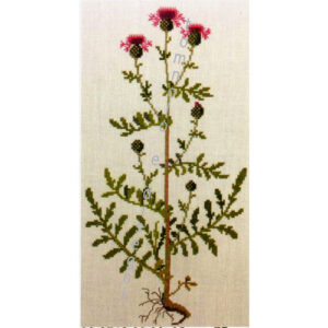 gerda bengtsson  Stor knopurt/cardo cm 19 x 34 kit 30-3718