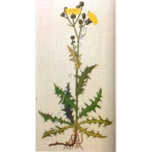jolly/Contemporary needlepoint, buttner-robins-beazley