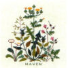 gerda bengtsson haven/giardino cm 27x 27 kit 30-5445