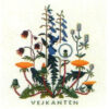 gerda bengtsson vejkanten/ciglio della strada cm 27x 27 kit 30-5447