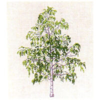 gerda bengtsson VORTEBIRK/BETULLA cm 21 x 30  kit ricamo 30-6023