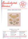 gerda bengtsson pastinaca sativa cm 24 x 24 kit 30-4608 - immagine 2