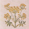 gerda bengtsson pastinaca sativa cm 24 x 24 kit 30-4608