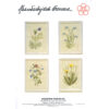 gerda bengtsson eng-forglemmigej/nontiscordardime cm 15 x 21 kit 30-5971 - immagine 2