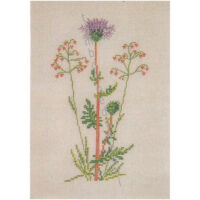 gerda bengtsson stor knopurt/Centaurea scabiosa cm 15 x 21 kit 30-5977