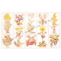 gerda bengtsson snapseurter/erbario cm 42 x 66 kit 30-4549