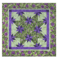 Rapid fire hunter's star, petit star template DT01