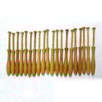 kit 20 Fuselli prugno