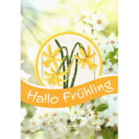 Cpa7 Hallo Frühling – UB Design